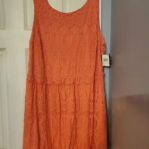 Coral Lace Dress